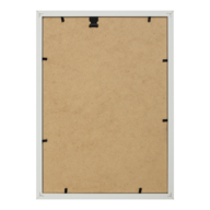 BM.0919_1.png
