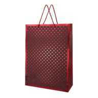 Пакет паперовий подарунковий, L:31х42х12см, тиснення фольгою BM.2000181