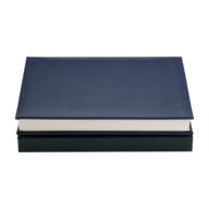 BM.20090_2.png