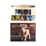 BM.210300@13.png