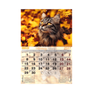 BM.210301@10.png