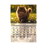 BM.210301@3.png