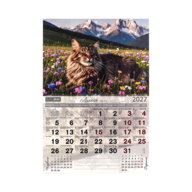 BM.210301@6.png