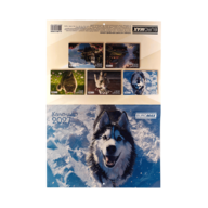 BM.210302@13.png