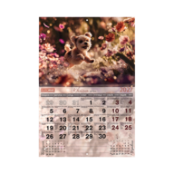 BM.210302@3.png