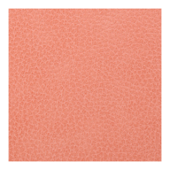 BM.21146-26_4.png