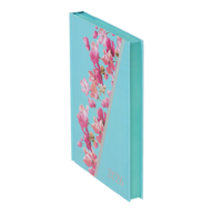 BM.21160-38_3.png