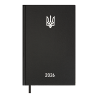 Ежедневник датир. 2026 AIRY, A5, черный, бум винил