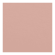 BM.21198-57@4.png