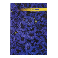 Книга канцелярська NATURE, А4, 96 арк., клітинка, офсет, тверда лам. обкладинка, асорті
