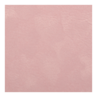 BM.2710-10_6.png