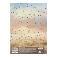 ZB.13765-01_1.png