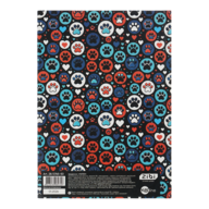 ZB.13765-50_1.png