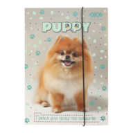 Папка для труда и тетрадей DOG, картонная, на резинке А4 (225x316мм), KIDS Line
