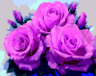 Картина по номерам "Рожеві троянди", 40*50 cm, ART Line