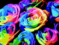 Картина по номерам "Веселкові троянди", 40*50 cm, ART Line