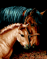 @Картина по номерам "Пара коней", 40*50 cm, ART Line