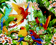 Картина по номерам "Папуги", 40*50 cm, ART Line